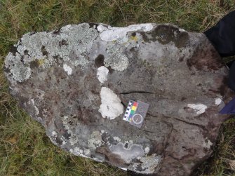 Digital photograph of perpendicular to carved surface(s), Scotland's Rock Art Project, Urchany 3, Highland