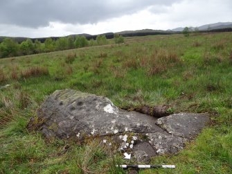 Digital photograph of panel to south-west, from Scotland's Rock Art Project, Glassie 1, Perth and Kinross