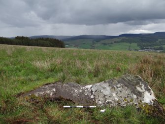 Digital photograph of rock art panel context, Scotland's Rock Art Project, Glassie 1, Perth and Kinross