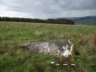 Digital photograph of panel to east, from Scotland's Rock Art Project, Glassie 1, Perth and Kinross