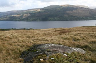 Digital photograph of panel to south, from Scotland's Rock Art Project, Cloanlawers 1, Loch Tay, Perth and Kinross