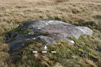 Digital photograph of panel, from Scotland's Rock Art Project, Cloanlawers 1, Loch Tay, Perth and Kinross