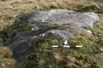 Digital photograph of panel, from Scotland's Rock Art Project, Cloanlawers 1, Loch Tay, Perth and Kinross