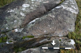 Digital photograph of perpendicular to carved surface(s), from Scotland's Rock Art Project, Cloanlawers 1, Loch Tay, Perth and Kinross