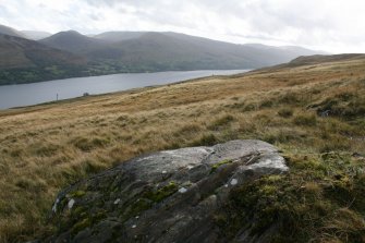 Digital photograph of rock art panel context, Scotland's Rock Art Project, Cloanlawers 1, Loch Tay, Perth and Kinross