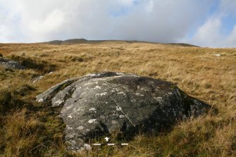 Digital photograph of panel to north, from Scotland's Rock Art Project, Cloanlawers 1, Loch Tay, Perth and Kinross