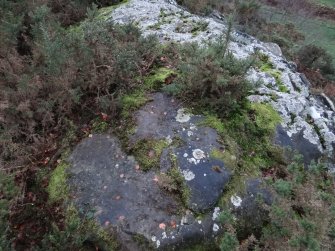 Digital photograph of panel before cleaning, from Scotland's Rock Art Project, Castleton 7, Stirling