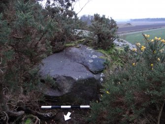 Digital photograph of panel to south, from Scotland's Rock Art Project, Castleton 7, Stirling