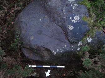 Digital photograph of perpendicular to carved surface(s), from Scotland's Rock Art Project, Castleton 7, Stirling