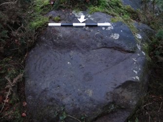 Digital photograph of perpendicular to carved surface(s), from Scotland's Rock Art Project, Castleton 7, Stirling