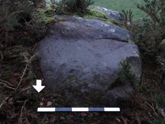 Digital photograph of panel to south, from Scotland's Rock Art Project, Castleton 7, Stirling