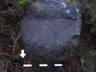 Digital photograph of perpendicular to carved surface(s), from Scotland's Rock Art Project, Castleton 7, Stirling