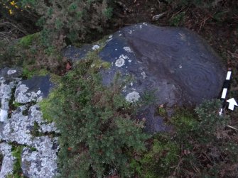 Digital photograph of panel before cleaning, from Scotland's Rock Art Project, Castleton 7, Stirling