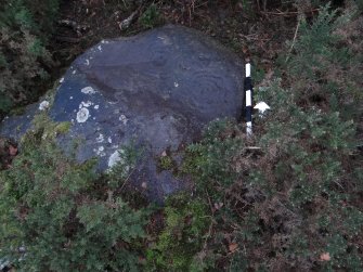 Digital photograph of panel to north, from Scotland's Rock Art Project, Castleton 7, Stirling