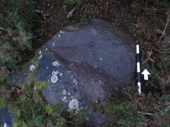 Digital photograph of panel to north, from Scotland's Rock Art Project, Castleton 7, Stirling