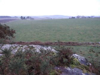 Digital photograph of panel in context without scale, from Scotland's Rock Art Project, Castleton 7, Stirling