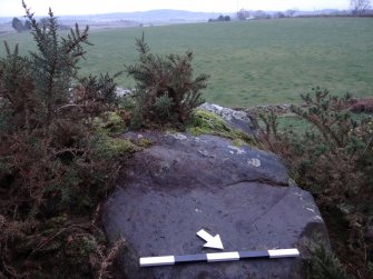 Digital photograph of panel to south-west, from Scotland's Rock Art Project, Castleton 7, Stirling