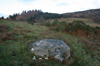 Digital photograph of panel to north, from Scotland's Rock Art Project, Nether Glenny 8, Stirling