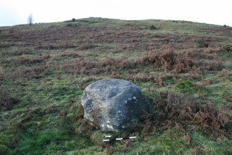 Digital photograph of panel to west, from Scotland's Rock Art Project, Nether Glenny 8, Stirling