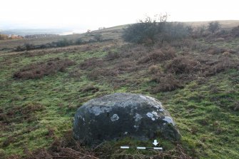 Digital photograph of panel to south, from Scotland's Rock Art Project, Nether Glenny 8, Stirling