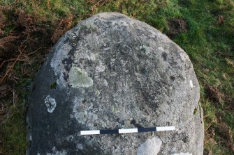 Digital photograph of perpendicular to carved surface(s), from Scotland's Rock Art Project, Nether Glenny 8, Stirling