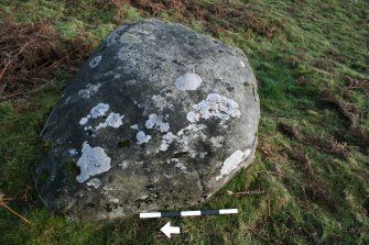Digital photograph of panel, from Scotland's Rock Art Project, Nether Glenny 8, Stirling