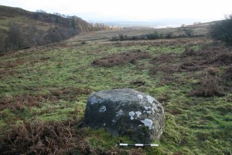 Digital photograph of panel in context with scale, from Scotland's Rock Art Project, Nether Glenny 8, Stirling