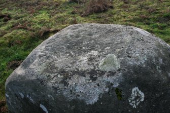 Digital photograph of close ups of motifs, from Scotland's Rock Art Project, Nether Glenny 8, Stirling