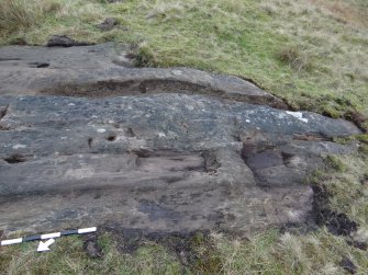 Digital photograph of perpendicular to carved surface(s), from Scotland's Rock Art Project, Nether Glenny 21, Stirling