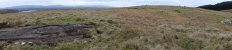 Digital photograph of panorama, from Scotland's Rock Art Project, Nether Glenny 21, Stirling