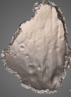 Snapshot of 3D model, from Scotland's Rock Art Project, Nether Glenny 24, Stirling