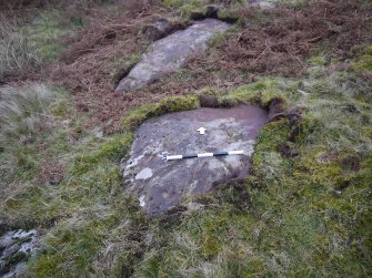 Digital photograph of panel to north, from Scotland's Rock Art Project, Nether Glenny 24, Stirling