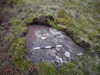 Digital photograph of panel to east, from Scotland's Rock Art Project, Nether Glenny 24, Stirling