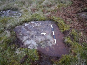 Digital photograph of panel to west, from Scotland's Rock Art Project, Nether Glenny 24, Stirling