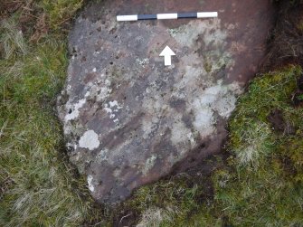 Digital photograph of perpendicular to carved surface(s), from Scotland's Rock Art Project, Nether Glenny 24, Stirling