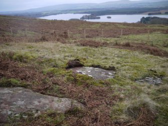 Digital photograph of panel in context with scale, from Scotland's Rock Art Project, Nether Glenny 24, Stirling