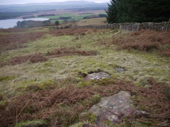 Digital photograph of panel in context with scale, from Scotland's Rock Art Project, Nether Glenny 24, Stirling