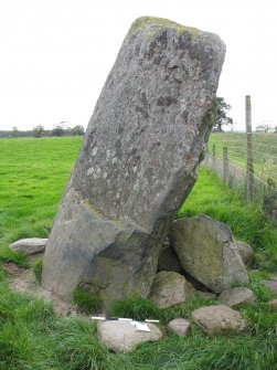 Digital photograph of rock art panel context, Scotland's Rock Art Project, White Stone, Stirling