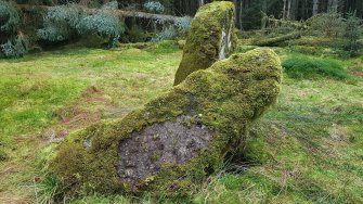 Digital photograph of rock art panel context, Scotland's Rock Art Project, Waterhead, Stirling