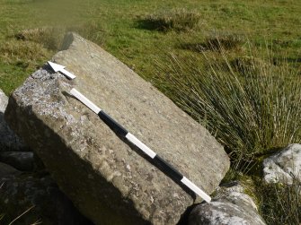 Digital photograph of panel to east, from Scotland's Rock Art Project, Crosswood 1, West Lothian