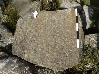 Digital photograph of perpendicular to carved surface(s), from Scotland's Rock Art Project, Crosswood 1, West Lothian