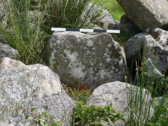 Digital photograph of panel to north, from Scotland's Rock Art Project, Crosswood 2, West Lothian