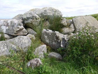 Digital photograph of panel in context with scale, from Scotland's Rock Art Project, Crosswood 2, West Lothian