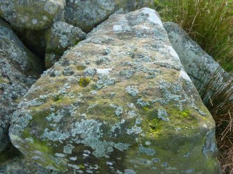 Digital photograph of rock art panel context, Scotland's Rock Art Project, Crosswood 3, West Lothian