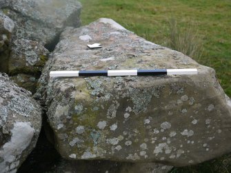 Digital photograph of panel to south, from Scotland's Rock Art Project, Crosswood 3, West Lothian