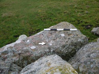 Digital photograph of rock art panel context, Scotland's Rock Art Project, Crosswood 3, West Lothian