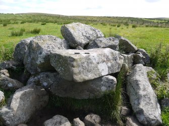 Digital photograph of rock art panel context, Scotland's Rock Art Project, Crosswood 3, West Lothian