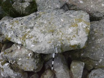 Digital photograph of rock art panel context, Scotland's Rock Art Project, Crosswood 4, West Lothian