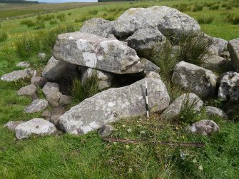 Digital photograph of rock art panel context, Scotland's Rock Art Project, Crosswood 5, West Lothian