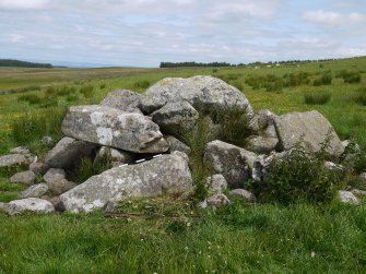 Digital photograph of panel in context with scale, from Scotland's Rock Art Project, Crosswood 5, West Lothian